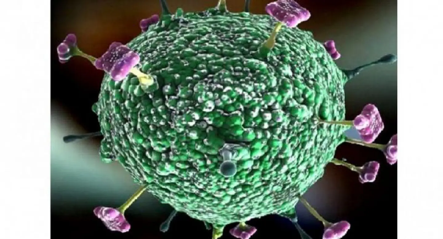 Caution urged to prevent outbreak of Nipah virus