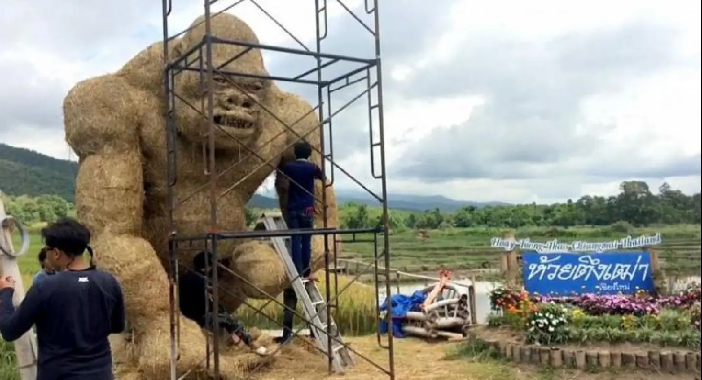 Military-led ‘selfie’ attractions boost Chiang Mai tourism Military-led ‘selfie’ attractions boost Chiang Mai tourism