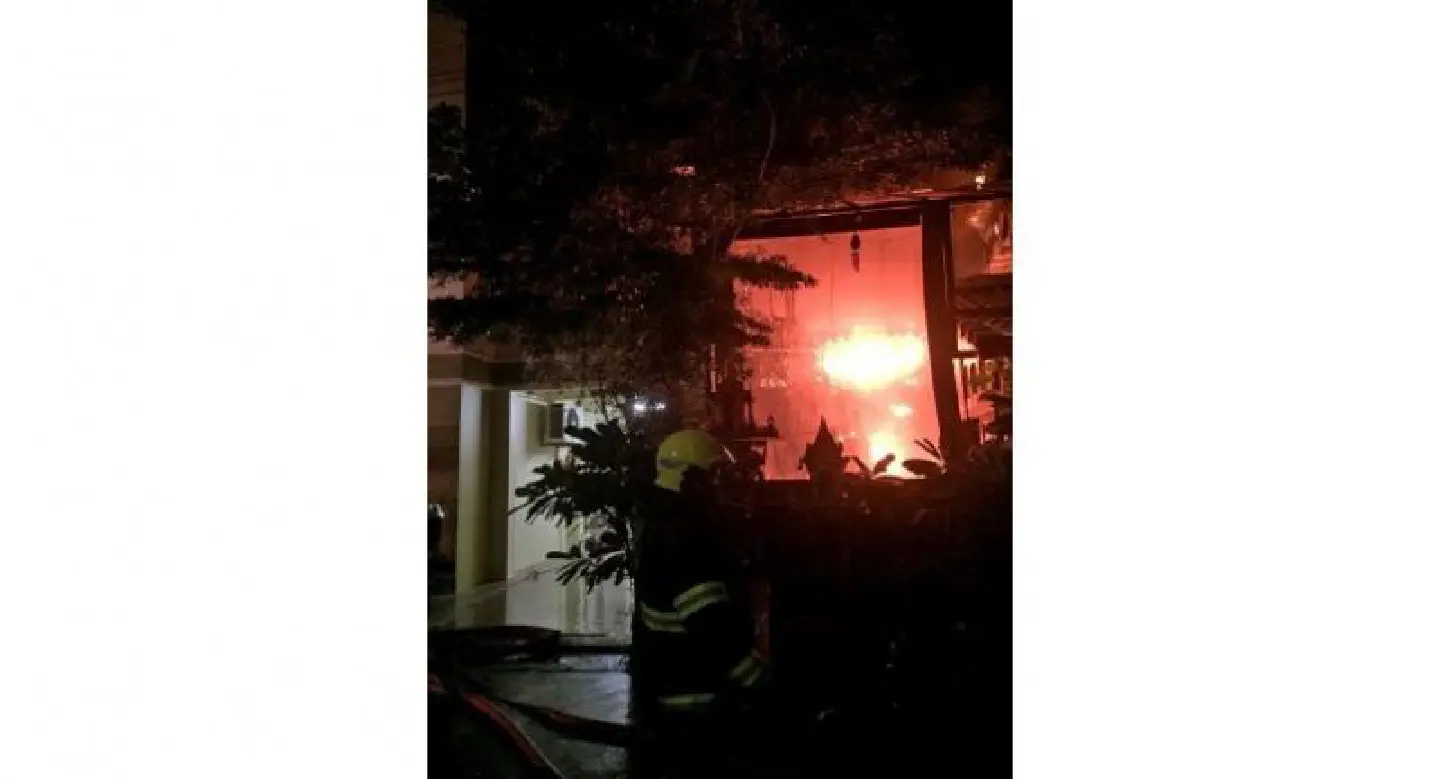 Patong cat saves lives in fire Patong cat saves lives in fire