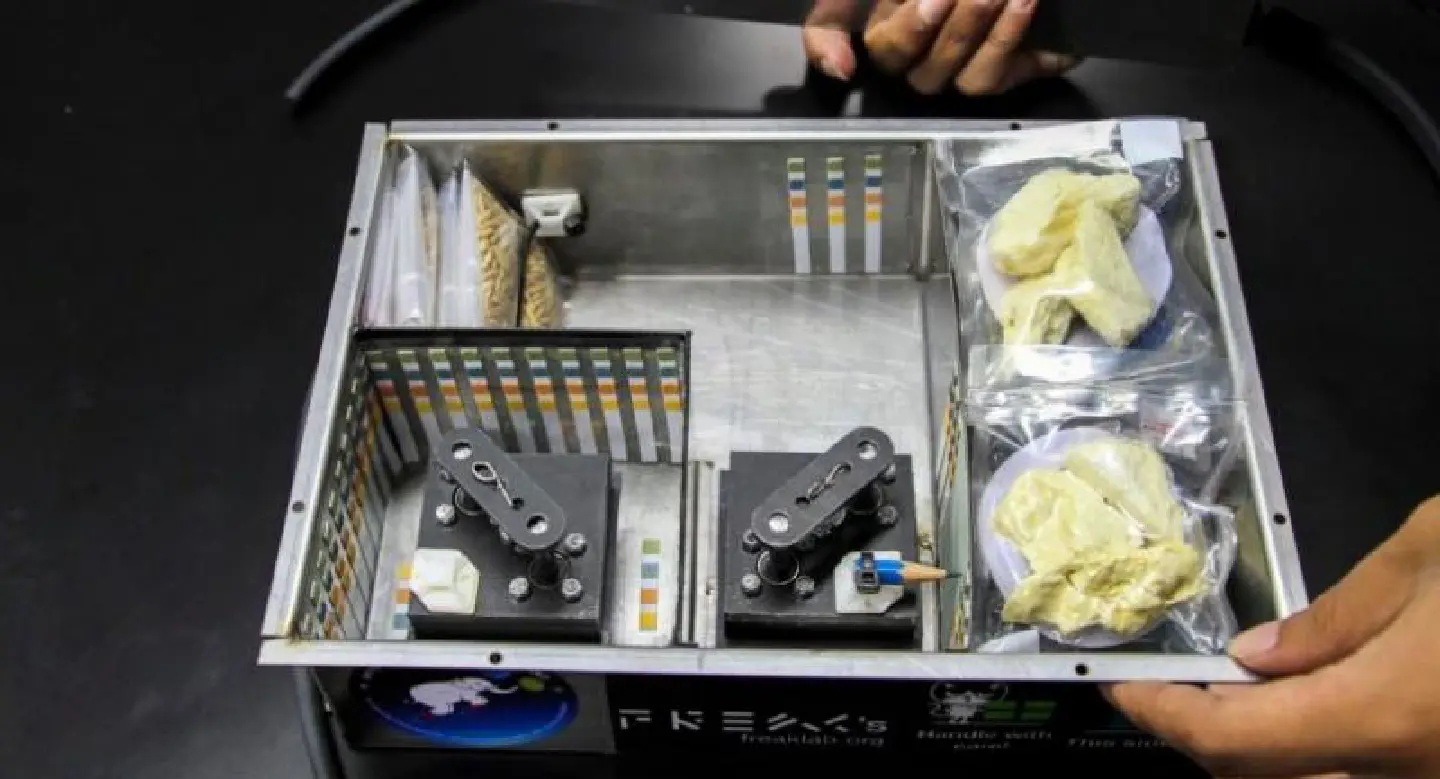 Final Fruit-ier: Thailand sends smelly durian into space Final Fruit-ier: Thailand sends smelly durian into space