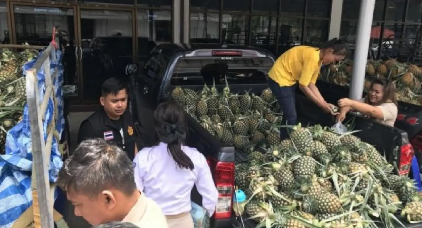 Pineapple farmers to sell crops in PTT stations nationwide Pineapple farmers to sell crops in PTT stations nationwide