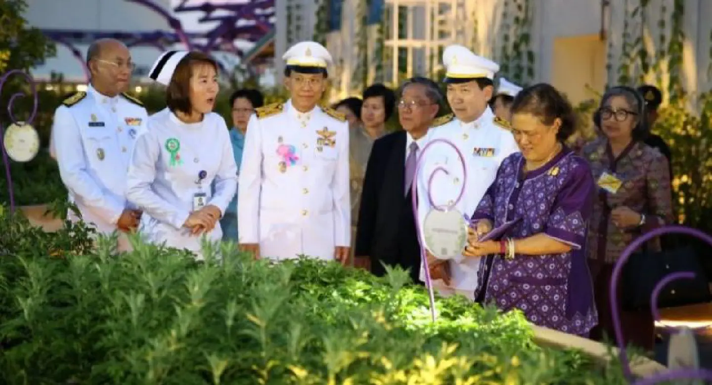 Downtown Ramathibodi Hospital to open therapeutic garden Downtown Ramathibodi Hospital to open therapeutic garden