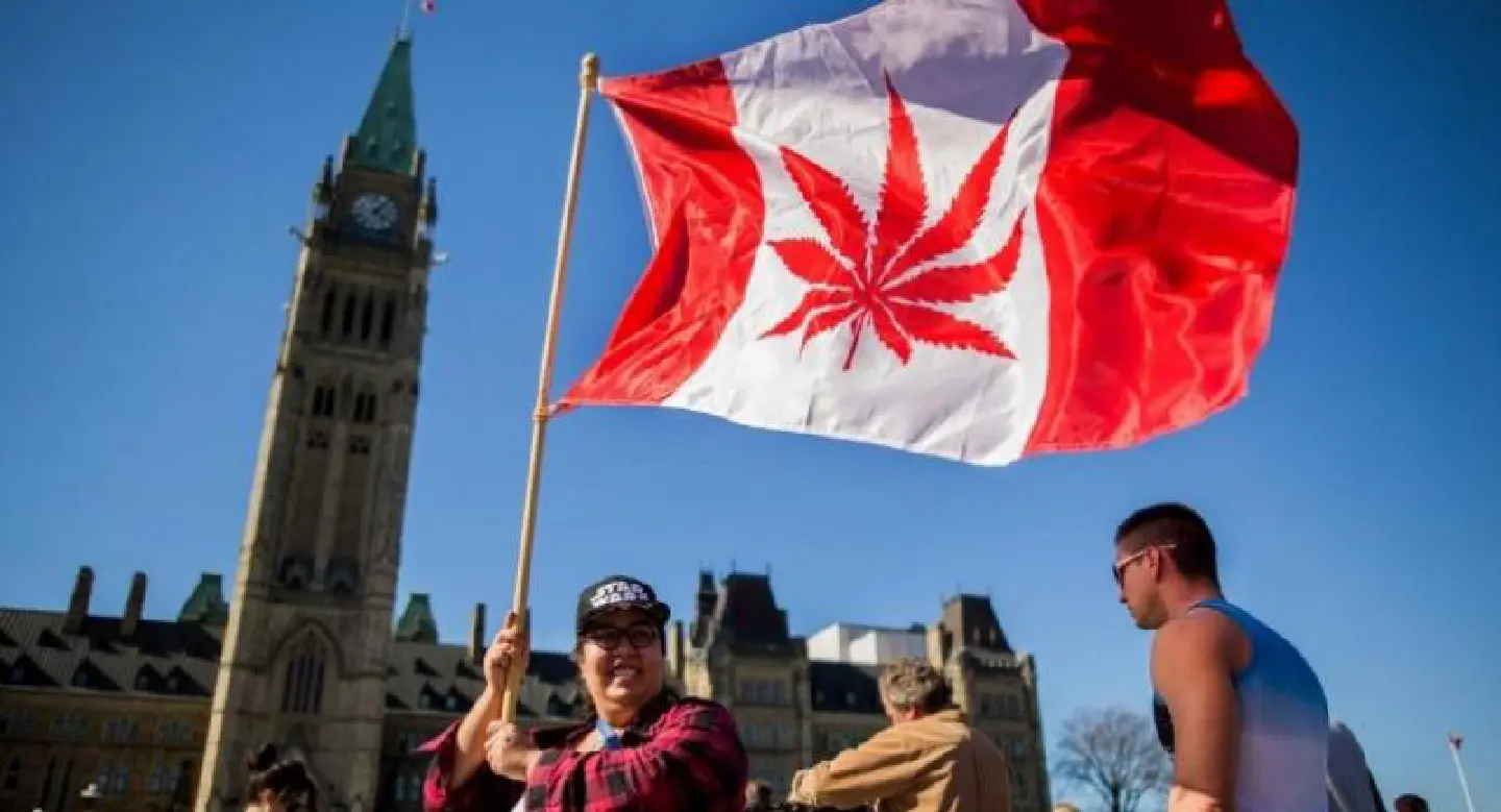 Update: Canada Senate passes law legalizing recreational marijuana Update: Canada Senate passes law legalizing recreational marijuana