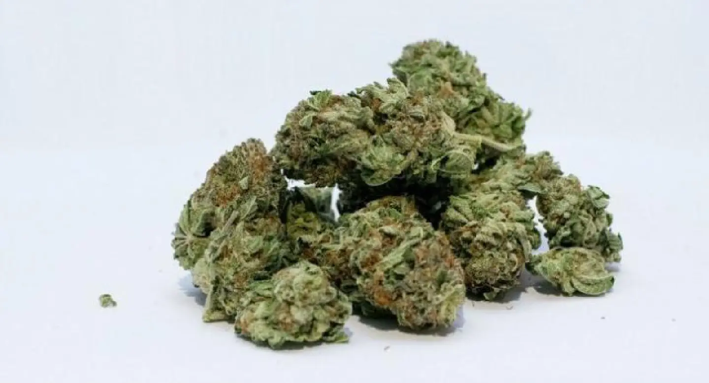 Reform of drug laws begins as bill passes first reading