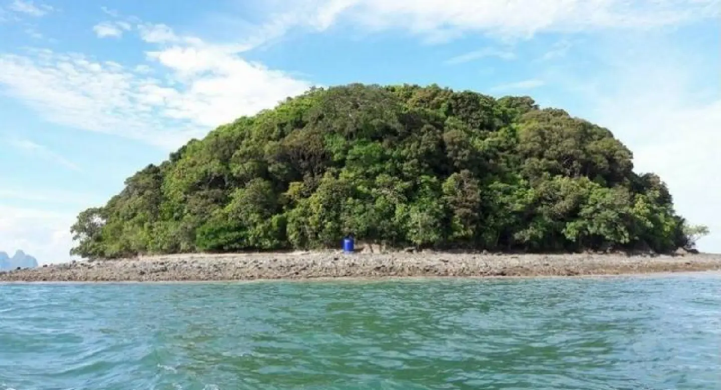 Another 38 monkeys captured in Rassada, water tanks installed on Koh Tanan Another 38 monkeys captured in Rassada, water tanks installed on Koh Tanan