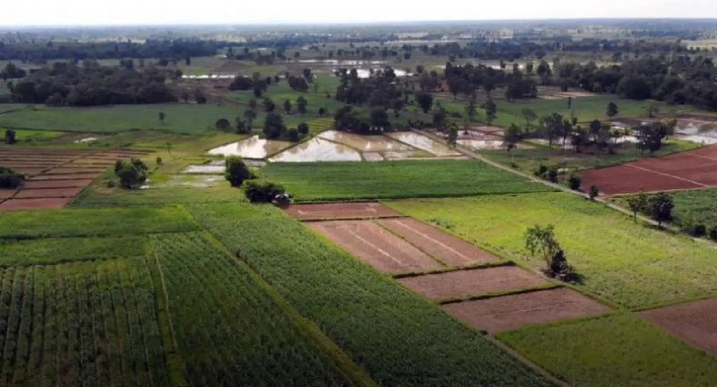 SPECIAL REPORT: The bitter truth behind the sugarcane boom