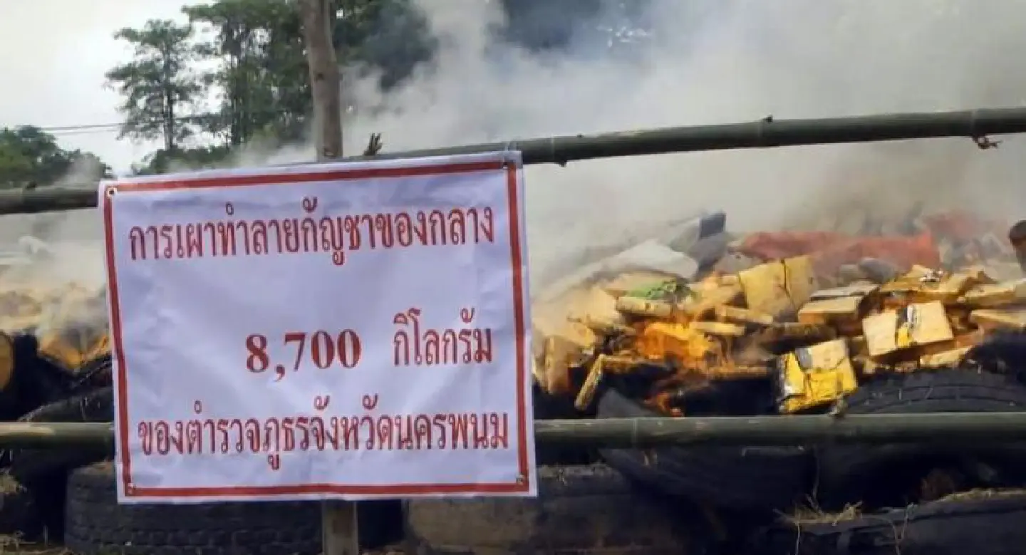 8,700kg of marijuana torched in Nakhon Phanom ceremony