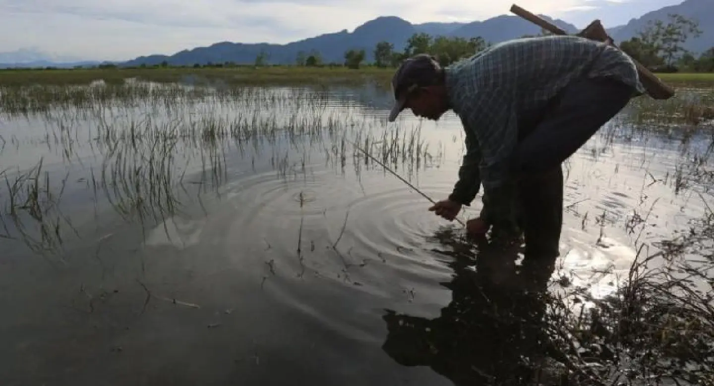 Farmers register for compensation as cave water submerges rice fields Farmers register for compensation as cave water submerges rice fields