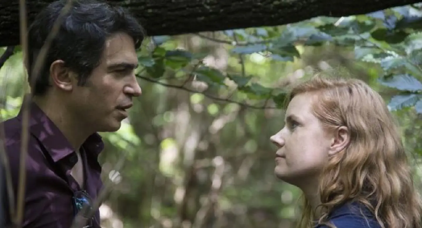 Nothing blunt about Amy Adams Nothing blunt about Amy Adams