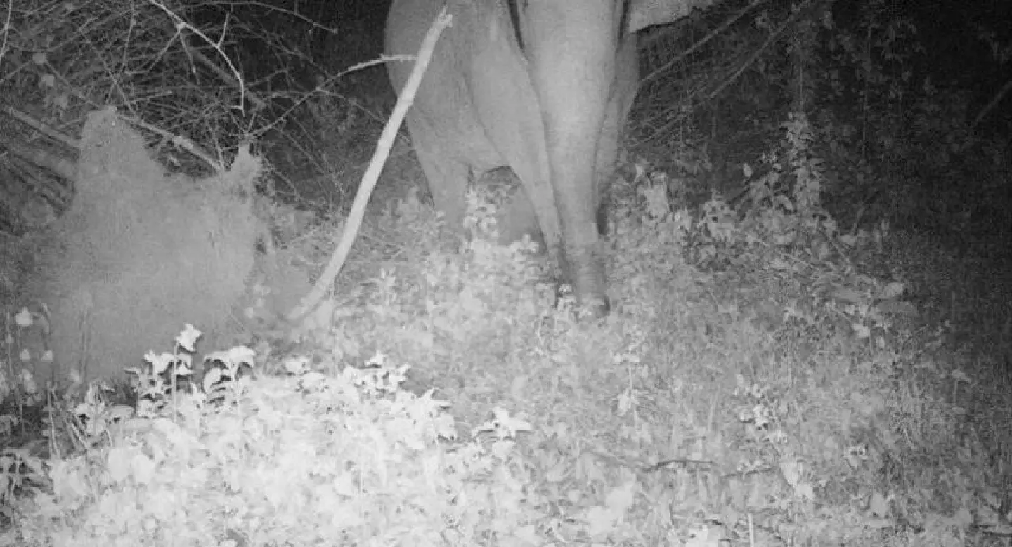 Photo proof wildlife park is getting it right Photo proof wildlife park is getting it right