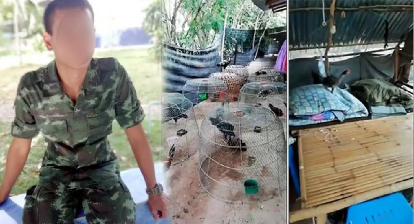 Happy resolution for soldier who cried fowl
