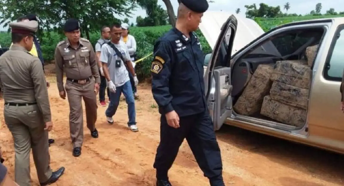 559kg of marijuana found in Korat 559kg of marijuana found in Korat