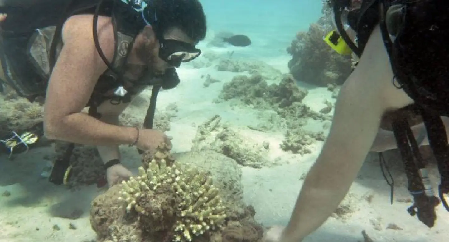 Cloud brightening, 'sun shields' to save Barrier Reef Cloud brightening, 'sun shields' to save Barrier Reef