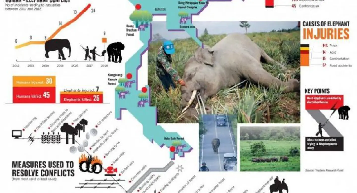 Wild elephant-human conflicts