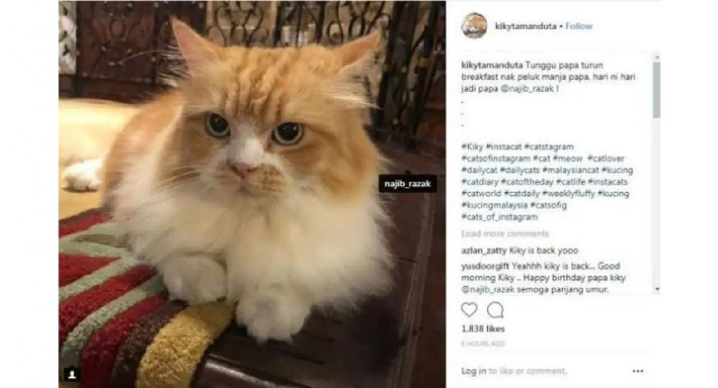 It’s Papa’s birthday: Najib’s cat Kiky back on own Instagram account It’s Papa’s birthday: Najib’s cat Kiky back on own Instagram account