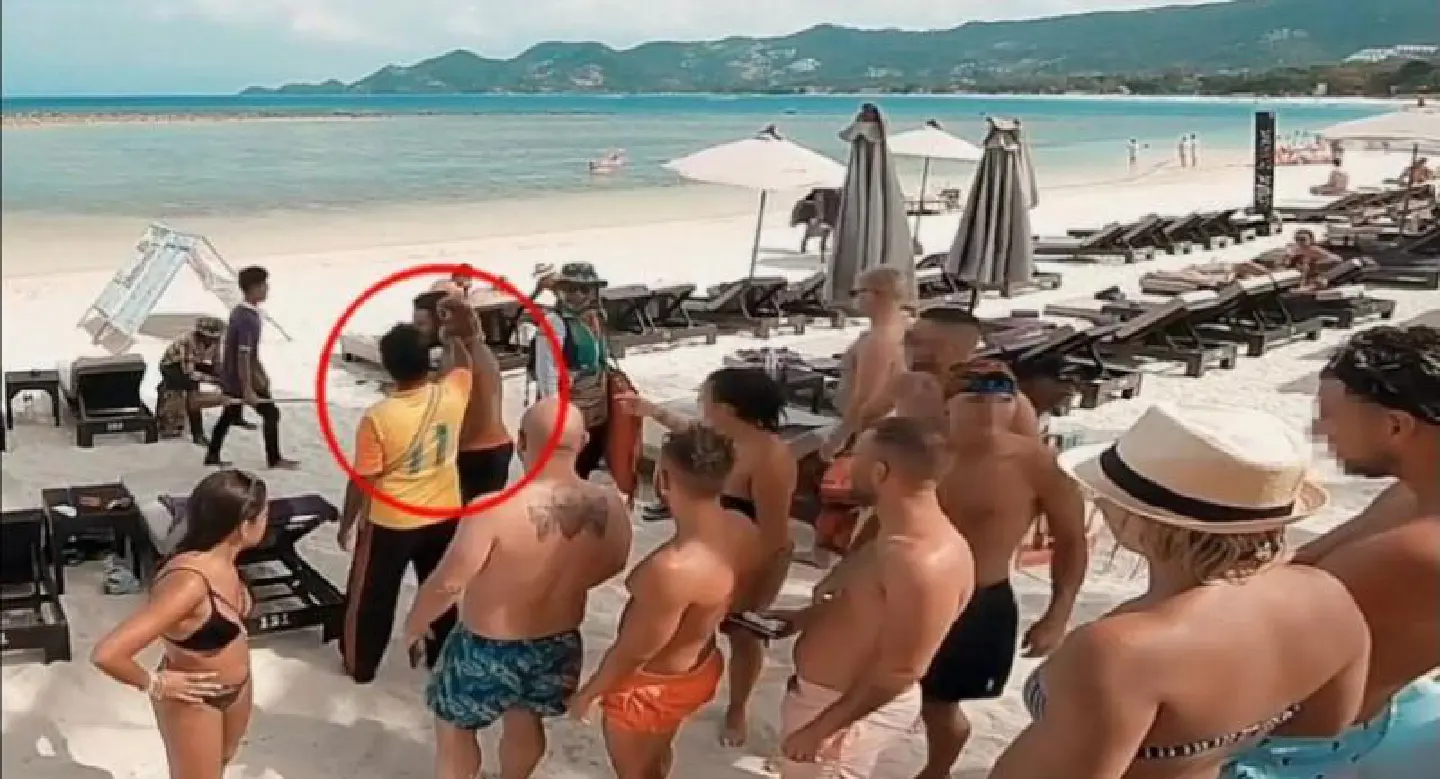 Samui gibbon abuse sparks outrage