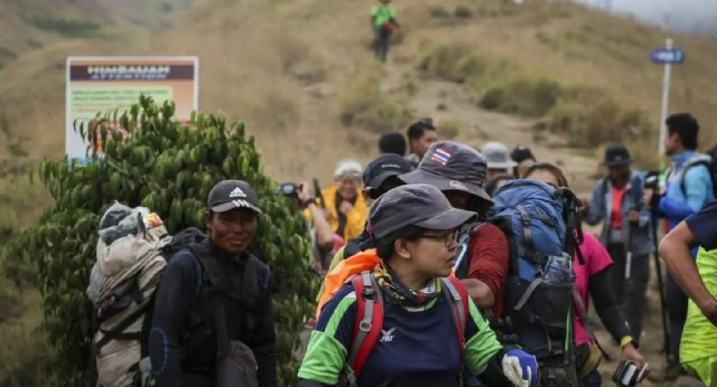 More than 500 hikers evacuated from Indonesian volcano: officials