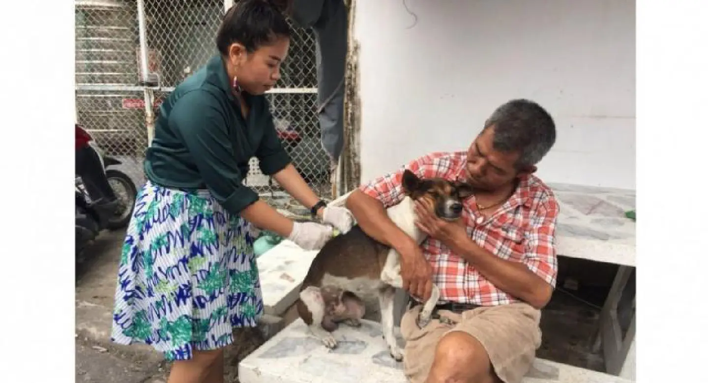 Prayut assigns Interior Minister to rescue abandoned dog Prayut assigns Interior Minister to rescue abandoned dog