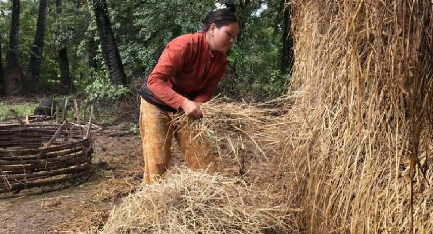 Can Cambodia’s farmers survive climate change? Can Cambodia’s farmers survive climate change?
