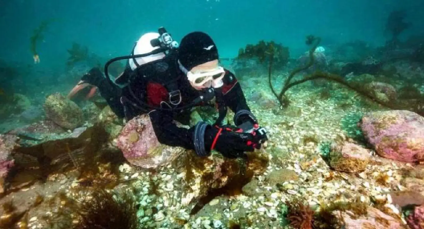 Researchers find trash in the Arctic Chula professors shocked by effects  of climate change