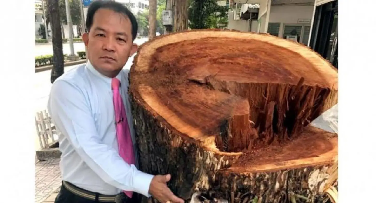Complaint against tree felling Complaint against tree felling