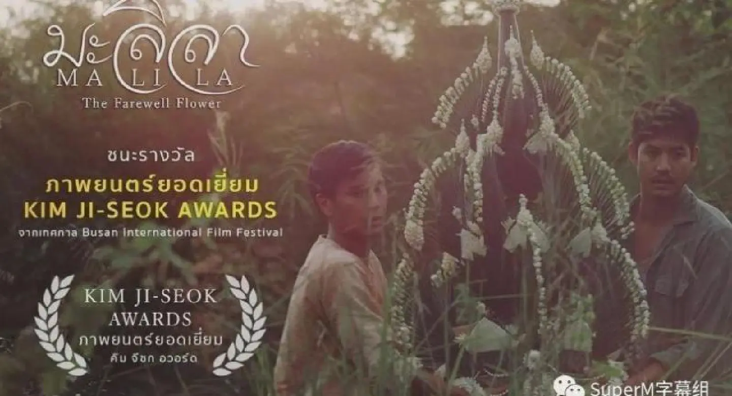 A spotlight on gay film