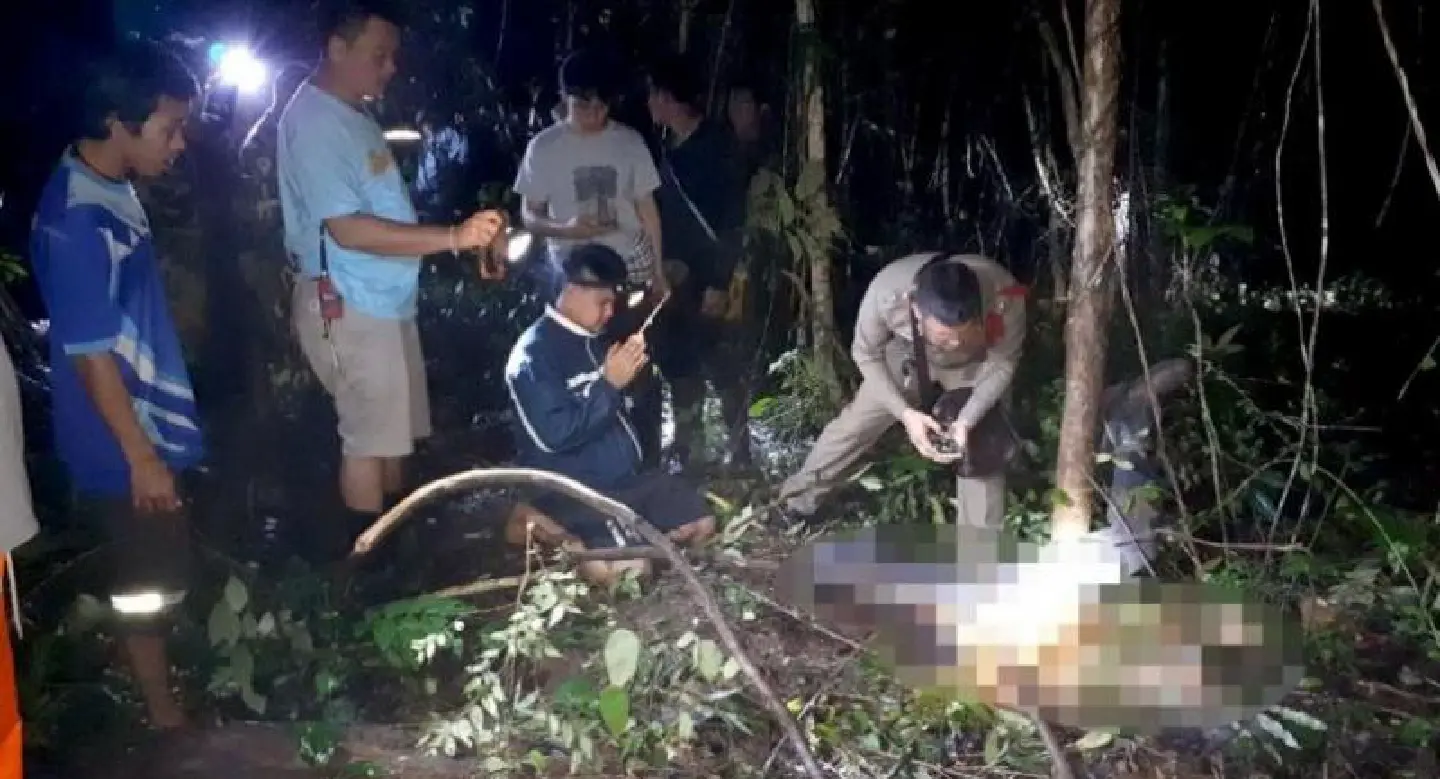 Wild elephant kills Kanchanaburi park volunteer Wild elephant kills Kanchanaburi park volunteer