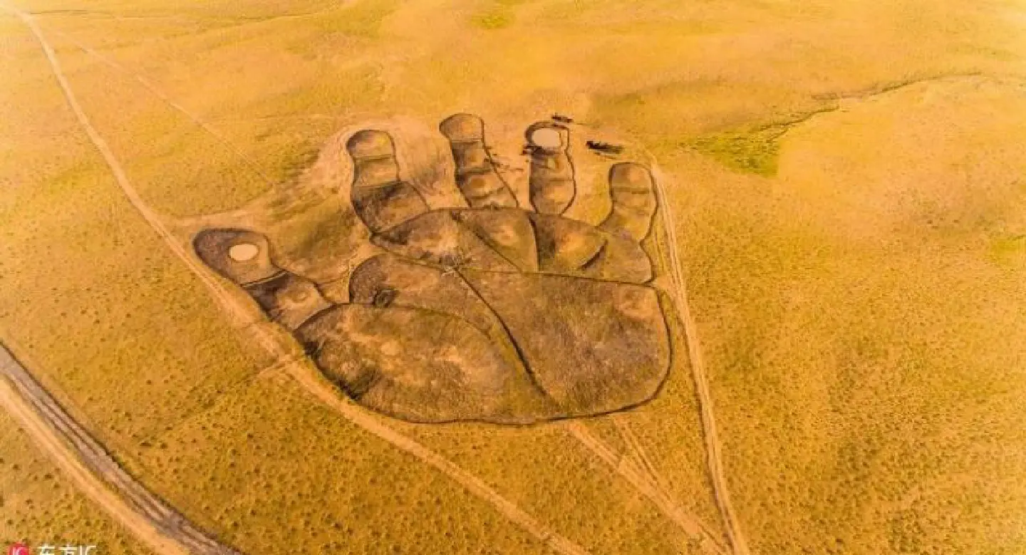 Giant 'Buddha's palm' appears in Inner Mongolia
