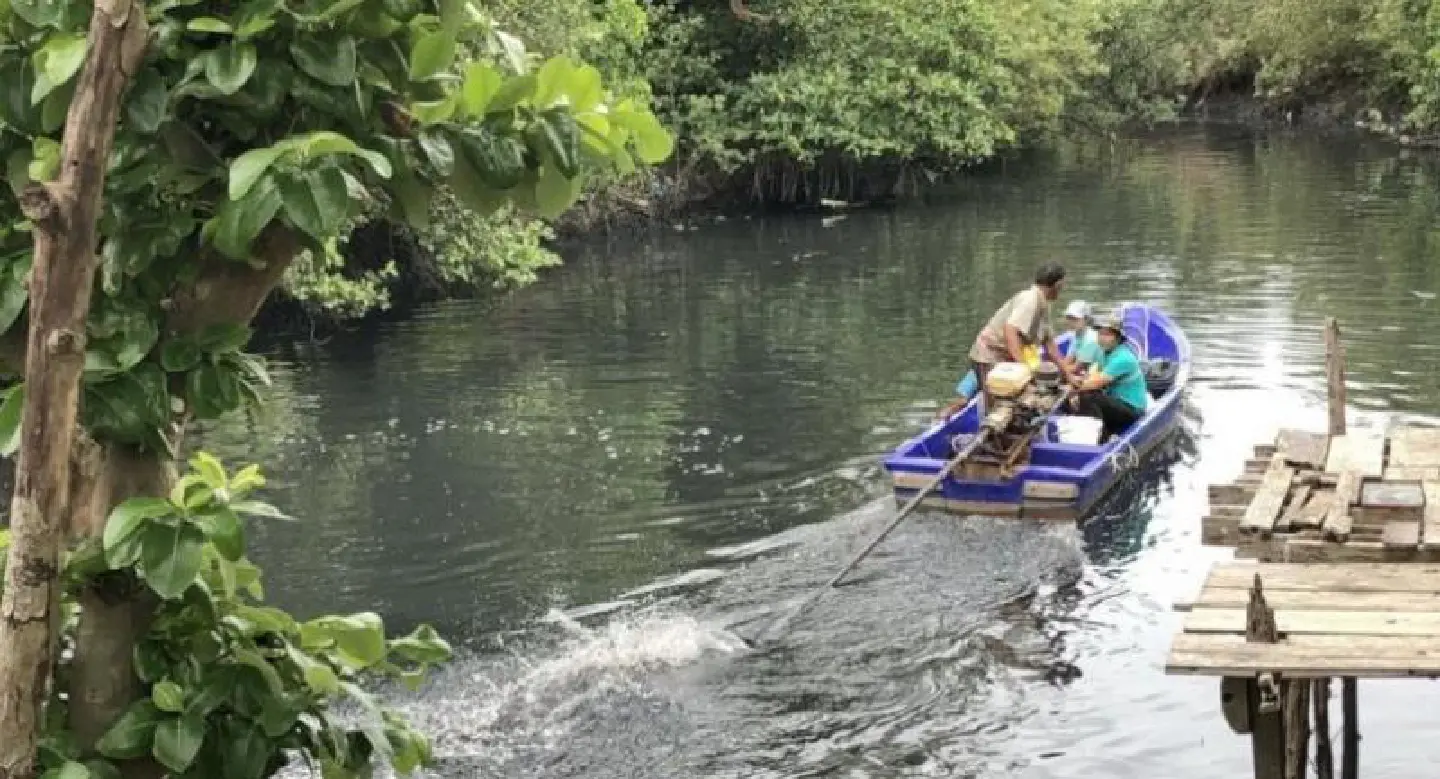 Wastewater poisoning Phuket canal Wastewater poisoning Phuket canal