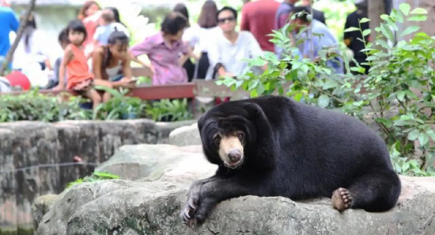 Dusit Zoo closing delayed until September 30 Dusit Zoo closing delayed until September 30