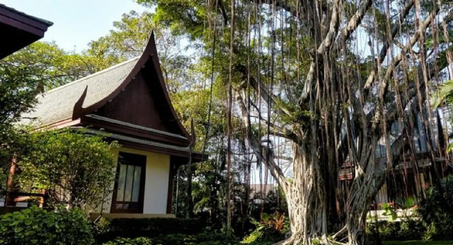 Thailand is among Top 3 destinations for disconnecting from work Thailand is among Top 3 destinations for disconnecting from work
