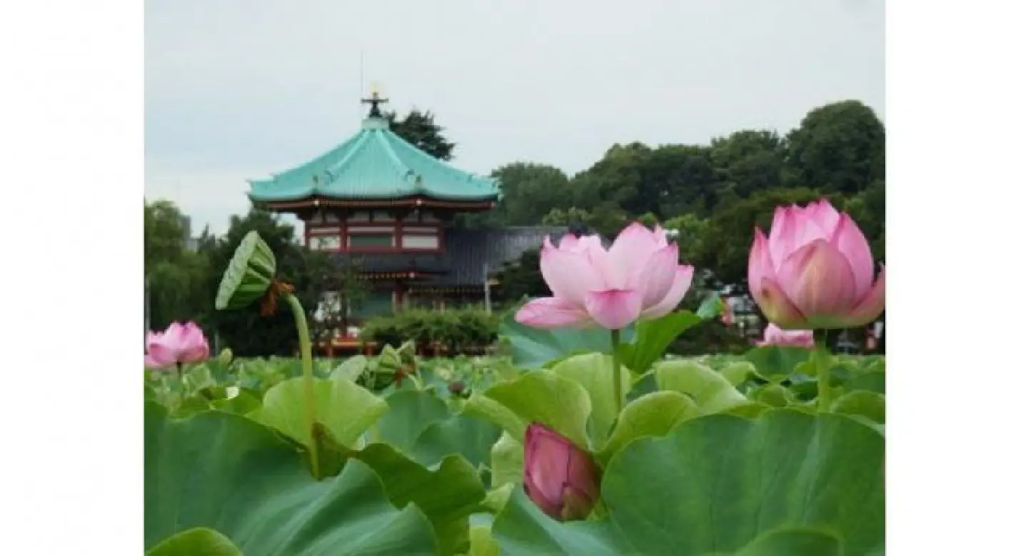 The many joys of Ueno Park