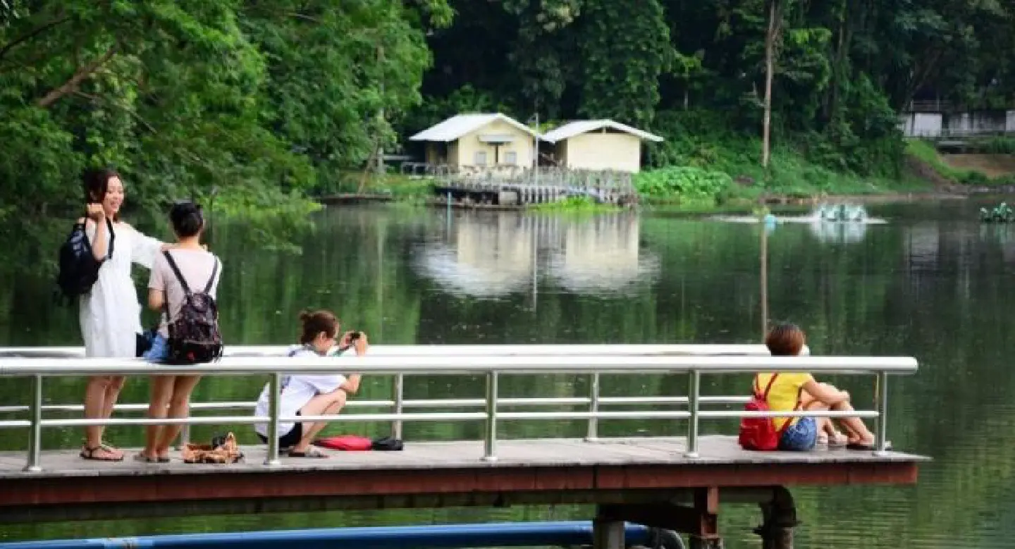 REPORT: Chinese investors making good in Chiang Mai REPORT: Chinese investors making good in Chiang Mai
