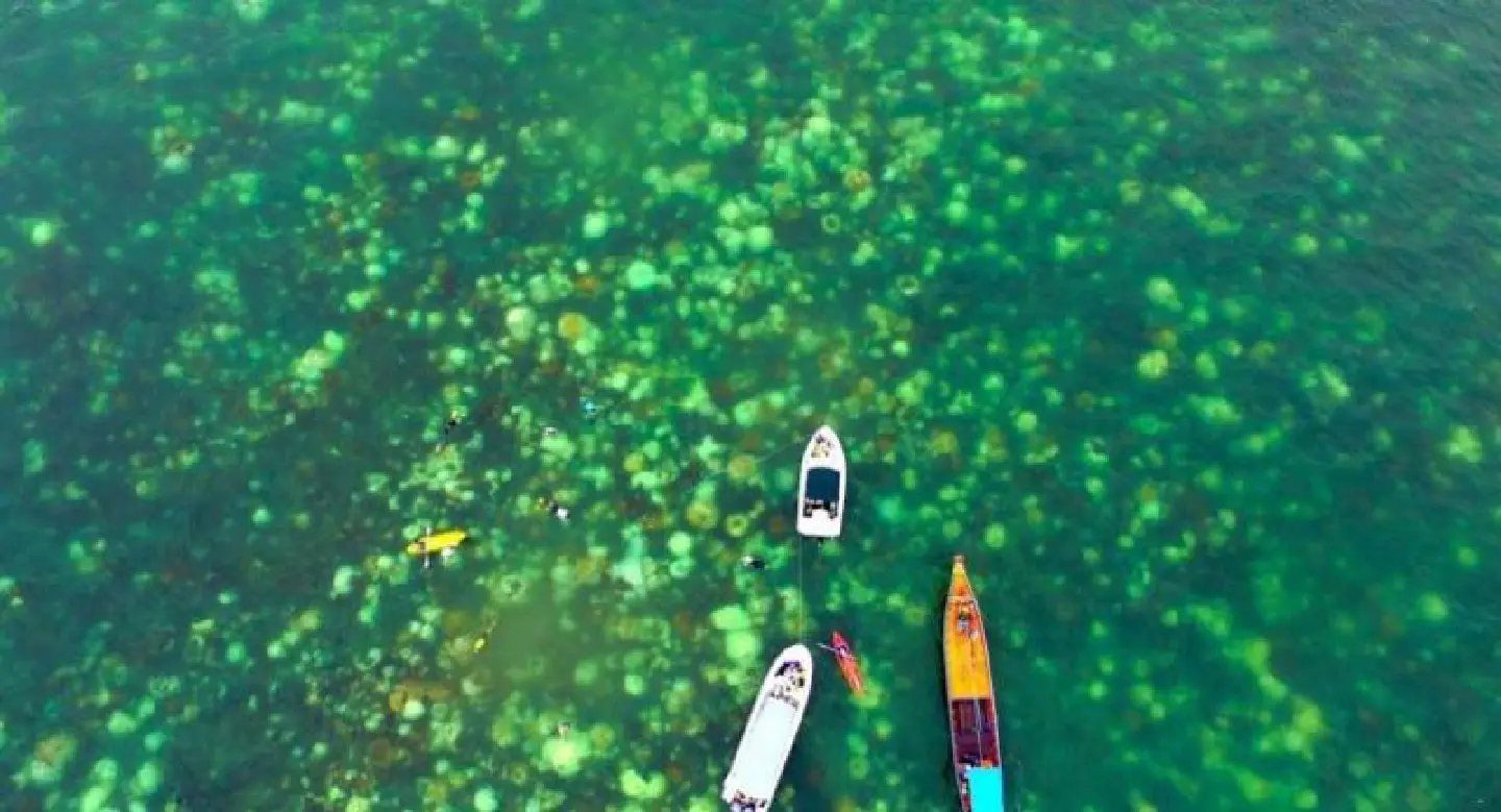 Climate push comes to Bangkok