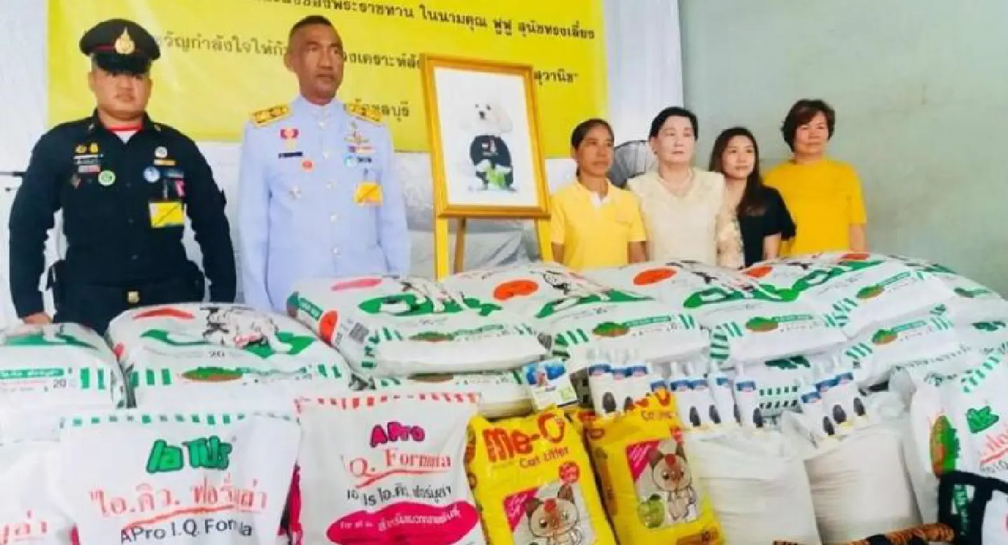His Majesty grants help to Tay-tay, the two-legged dog of Chon Buri