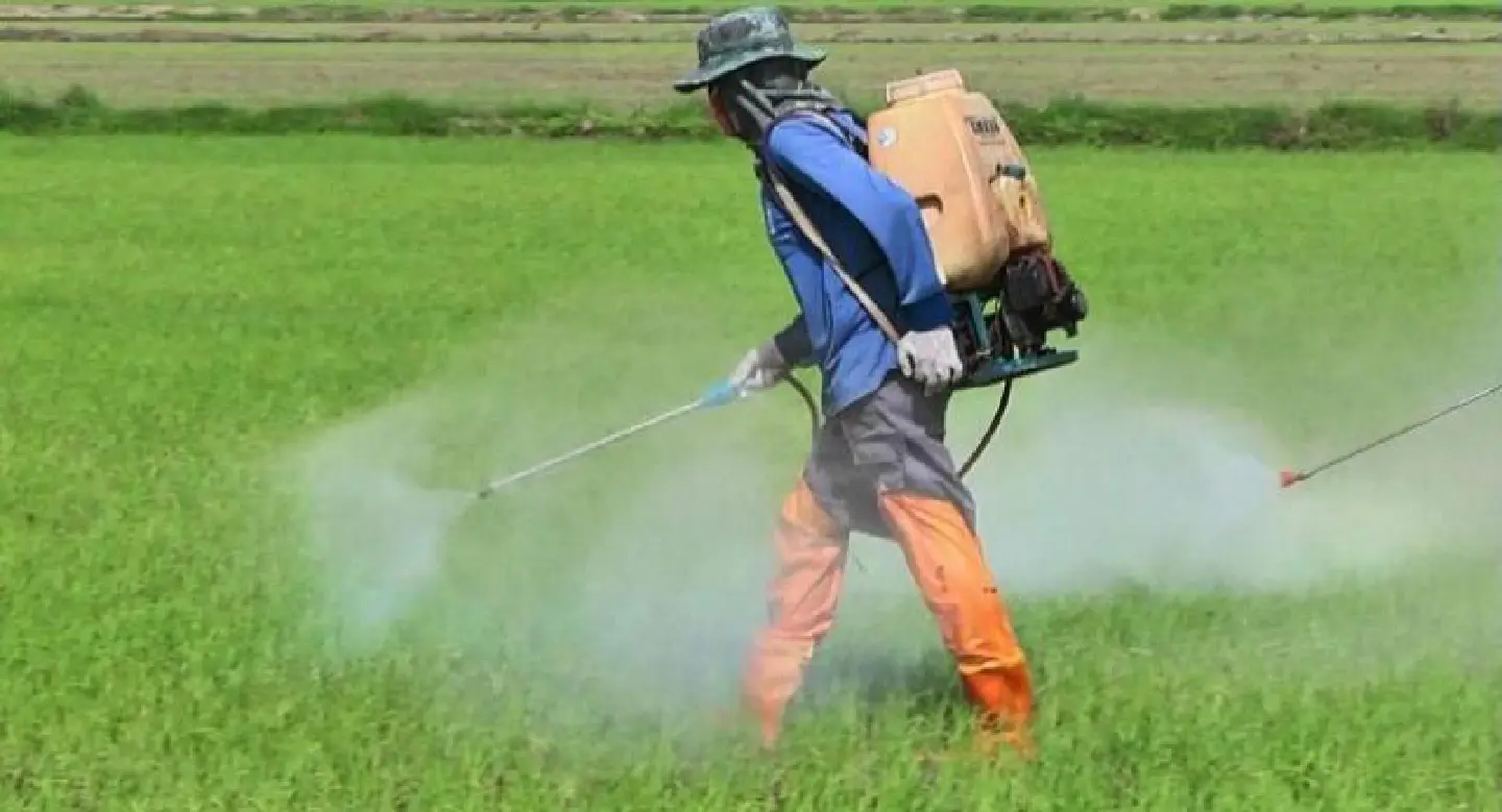 Toxic farm chemicals take a toll on lives Toxic farm chemicals take a toll on lives