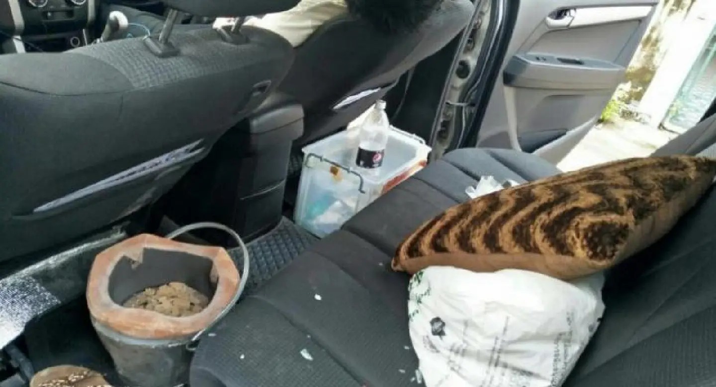 Bangkok man found dead in pickup with burned-out charcoal stove Bangkok man found dead in pickup with burned-out charcoal stove