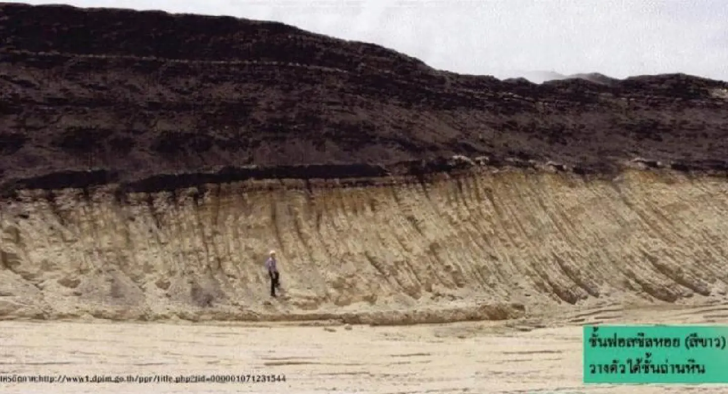 Court set to issue ruling on Mae Moh fossils case
