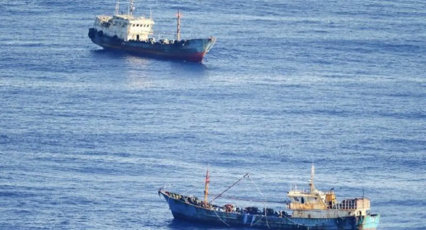 Japan fisheries institute, Google to work on system to monitor illegal fishing Japan fisheries institute, Google to work on system to monitor illegal fishing