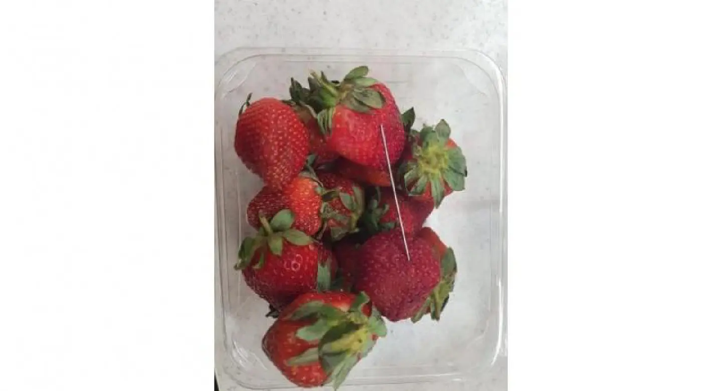 Australia offers reward amid mystery strawberry needle scare Australia offers reward amid mystery strawberry needle scare