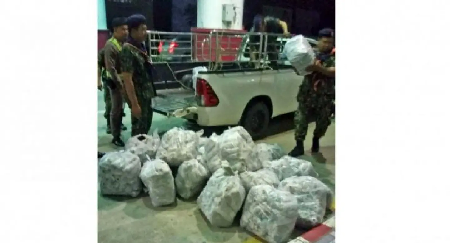 Kratom-leaf road trip ends with arrests in Phuket Kratom-leaf road trip ends with arrests in Phuket