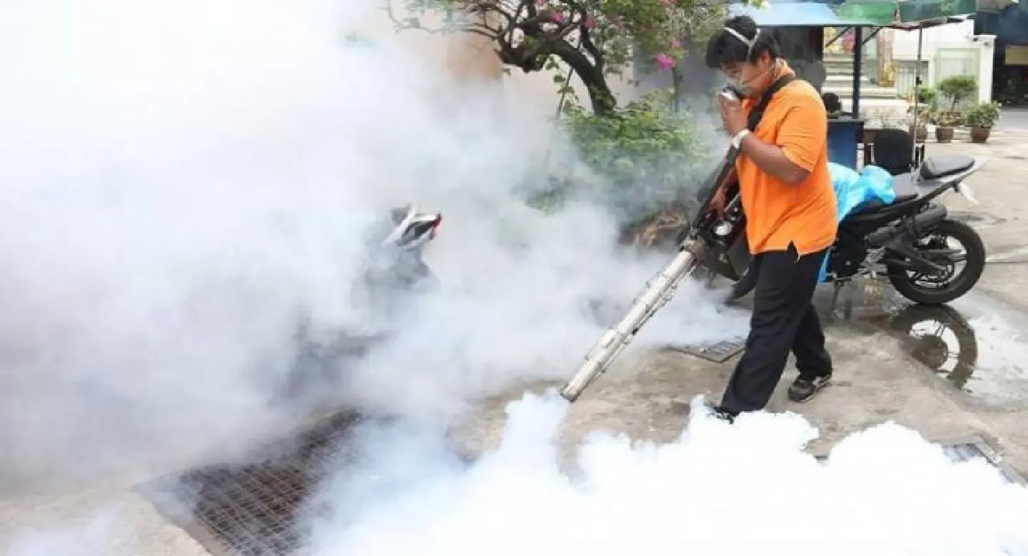 Five killed by dengue fever in four Bangkok districts so far this year Five killed by dengue fever in four Bangkok districts so far this year