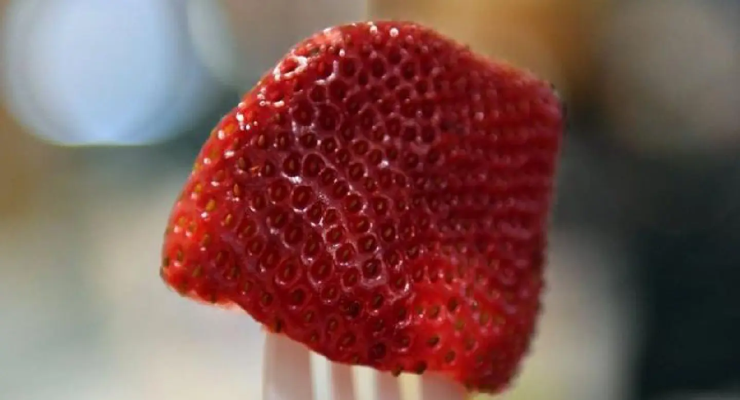 Strawberry sabotage akin to 'terrorism': Australia PM