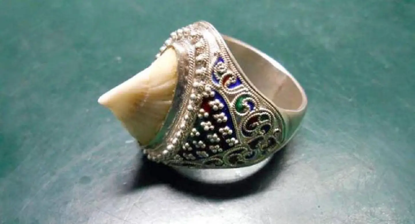 Owners told to report fishy jewellery Owners told to report fishy jewellery