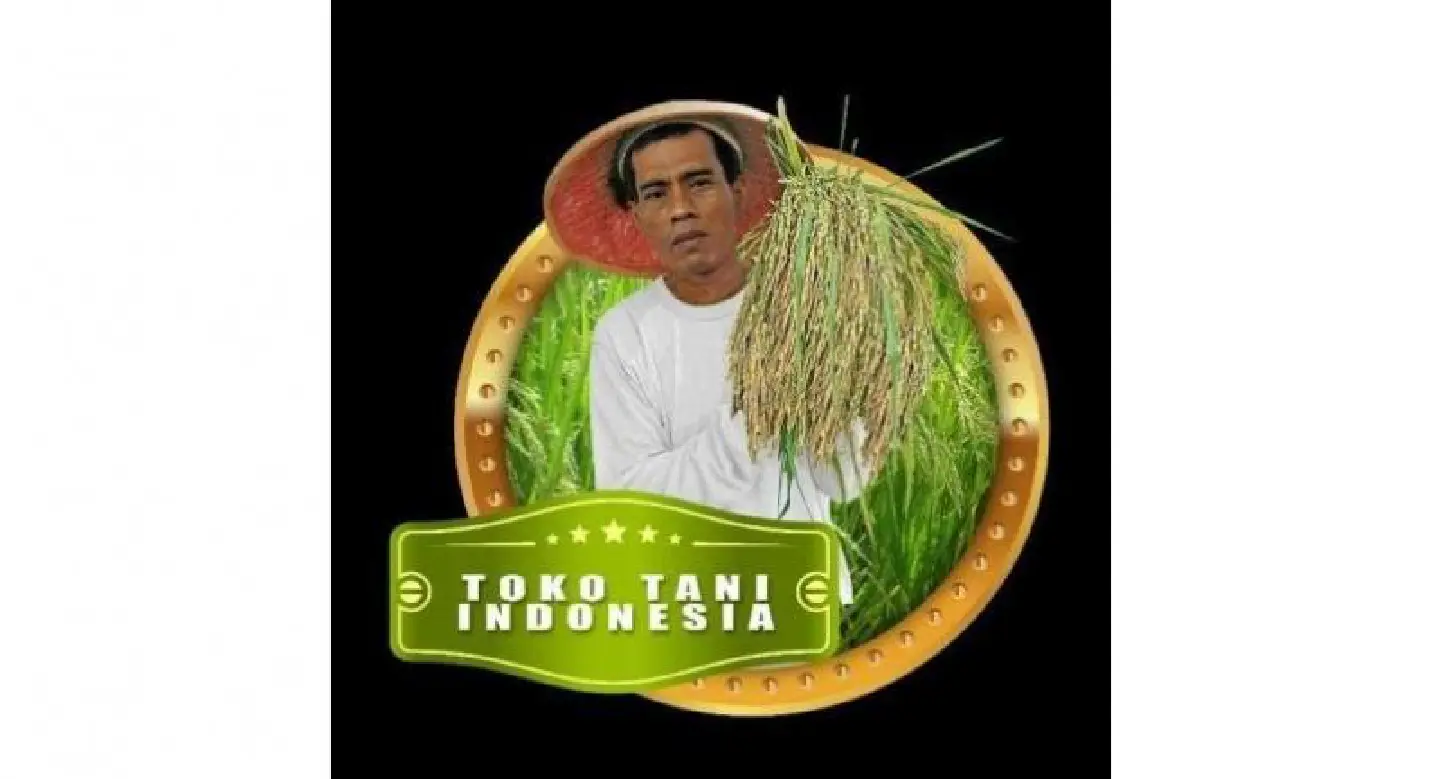 Is that Jokowi?: Rice sack model mistaken for President