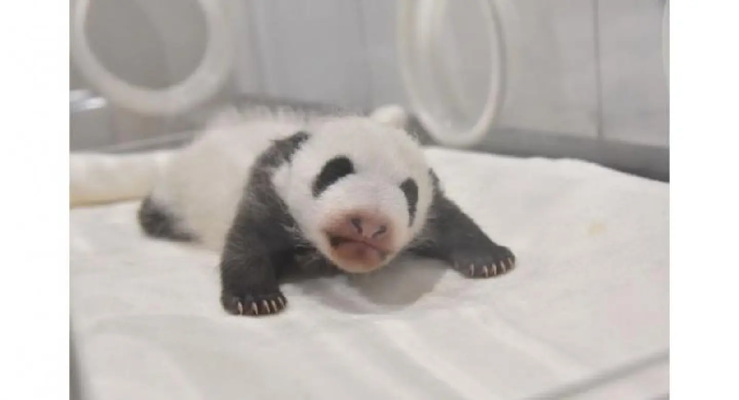 What shall we call this little cutie?