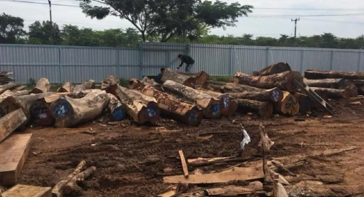 Phayak Prai taskforce seizes hardwood planks, logs in Udon Thani raid Phayak Prai taskforce seizes hardwood planks, logs in Udon Thani raid