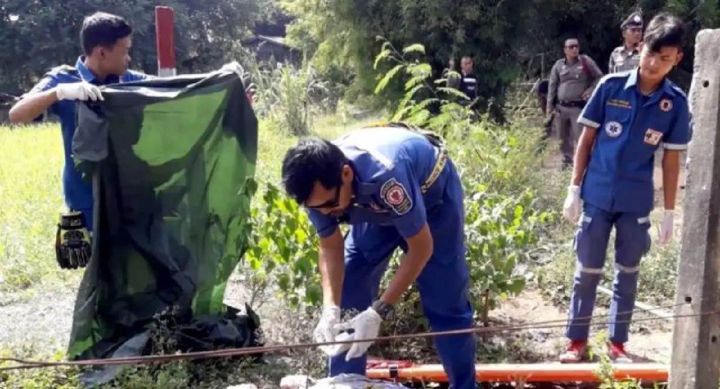 Korat man killed by live wire used to fend off stray dogs Korat man killed by live wire used to fend off stray dogs
