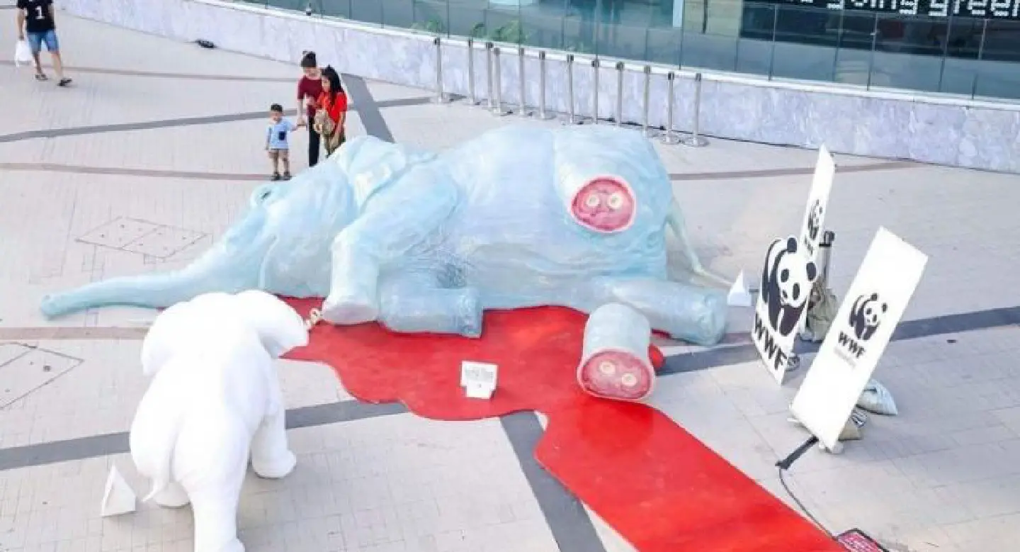 Exhibition highlights cruelty of elephant poaching Exhibition highlights cruelty of elephant poaching