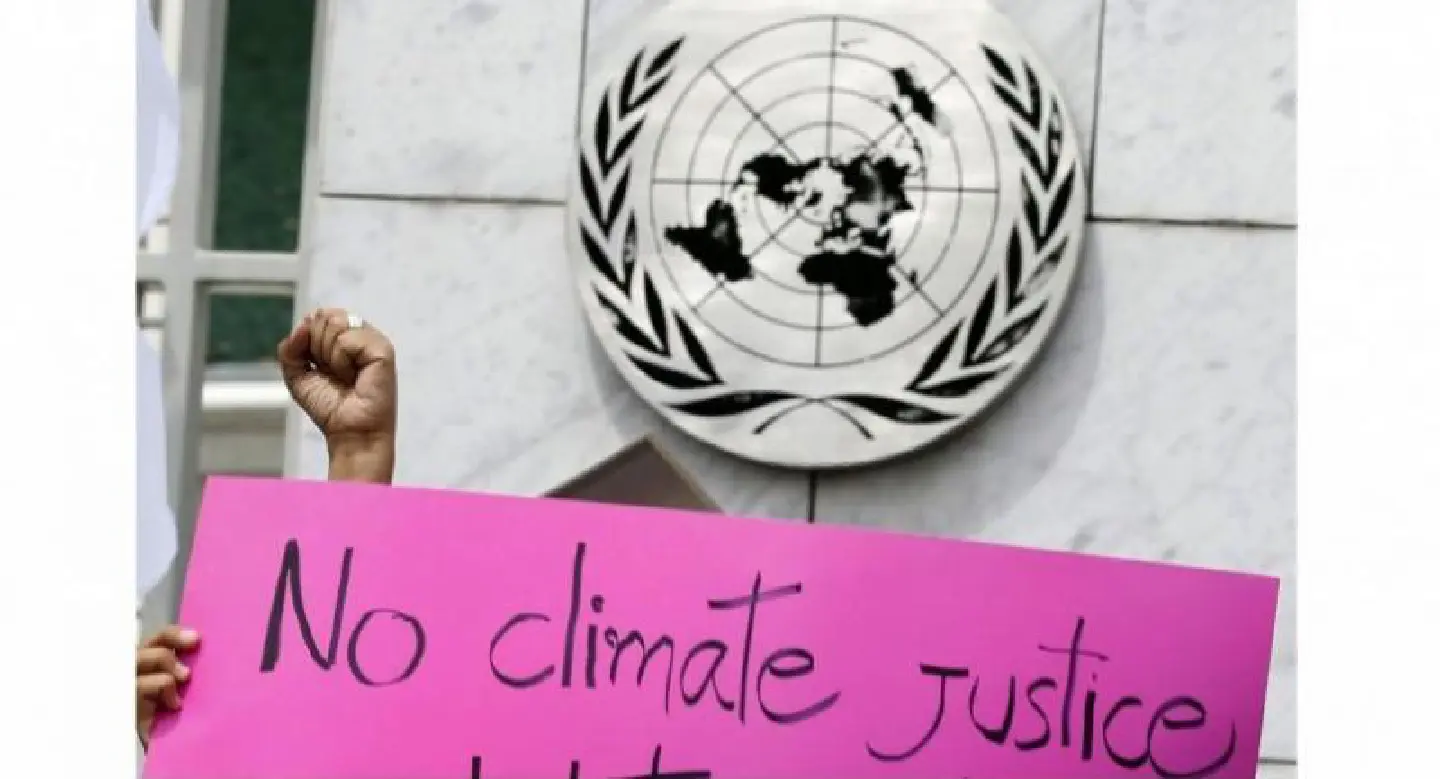 Saving forests must remain a focus for slowing climate change